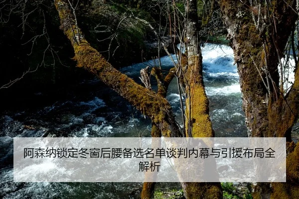 阿森纳锁定冬窗后腰备选名单谈判内幕与引援布局全解析