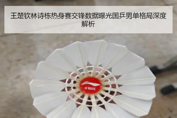 王楚钦林诗栋热身赛交锋数据曝光国乒男单格局深度解析
